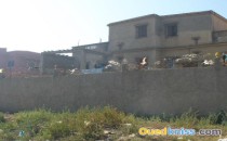 immobilier terrain à bordj el kiffan